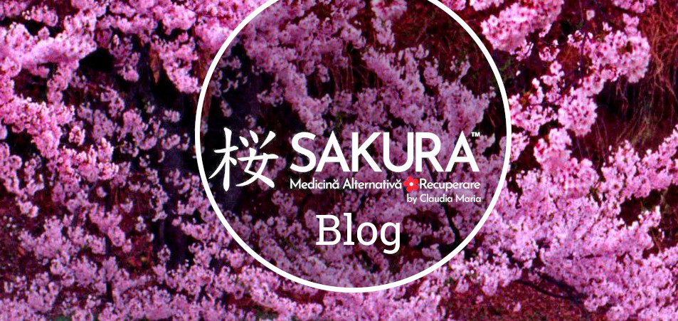 Blog Centrul Sakura Bucuresti