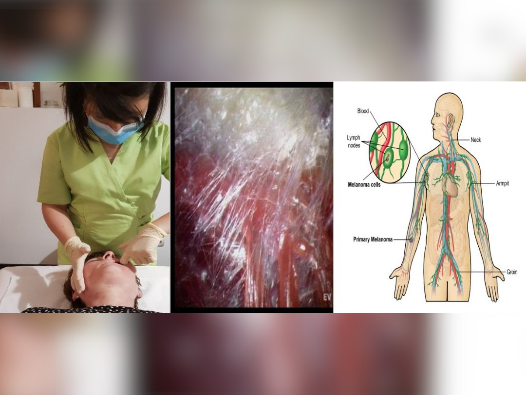 Curs Terapie CranioSacrala Modulu 3