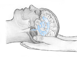 Terapie Craniosacrala